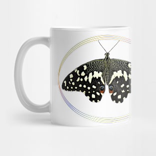 Butterfly - tropical Insect in Kenya / Africa Mug